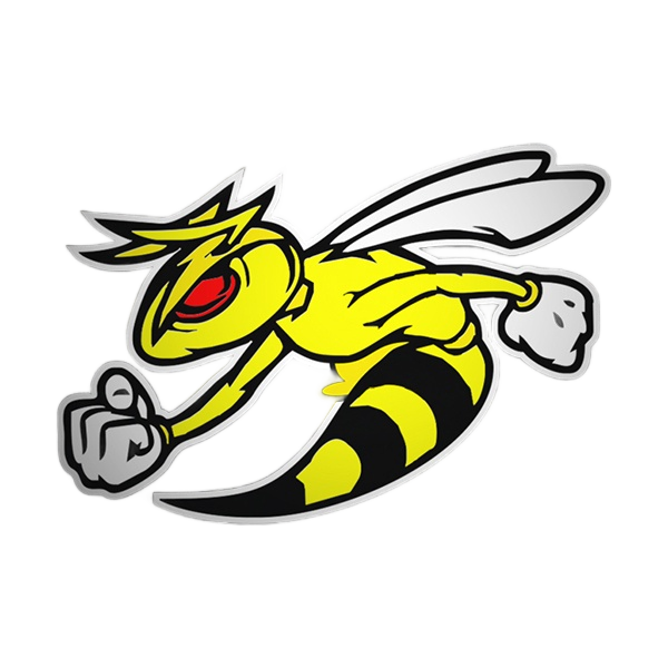 Stingers Tackle